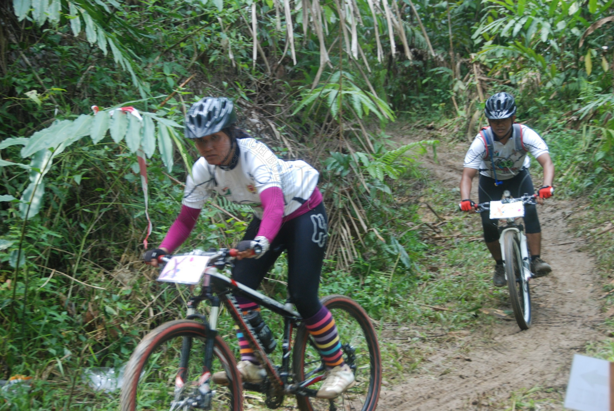 Bpkk 12 145 jamboree DSC 1240